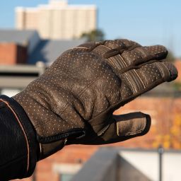 Black Pup Moto Thumpa Gloves - Gen 3